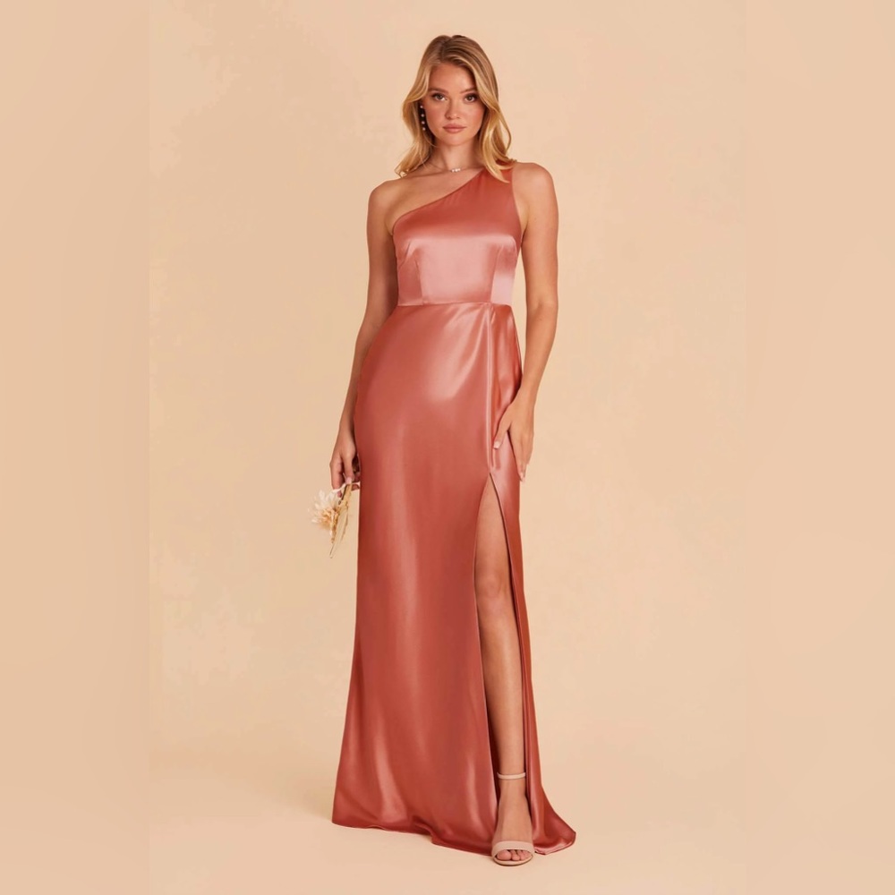 Birdy Grey Kira Dress- TERRACOTTA